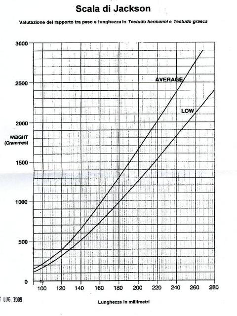 Grafico delle curve di Jackson