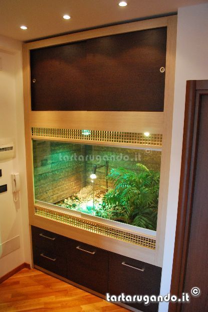 862d1298331127-belliana-terrarium.jpg.html