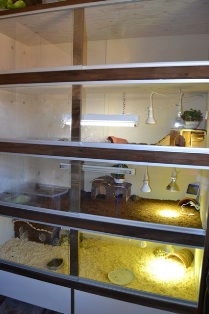 terrario rack Terrario rack