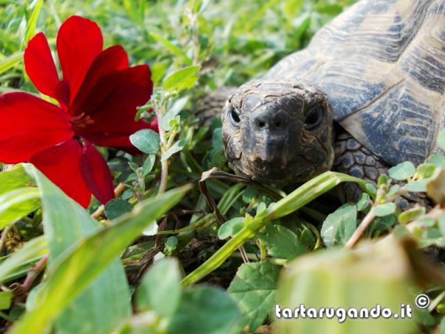 Foto finaliste concorso fotografico Dicembre 2012