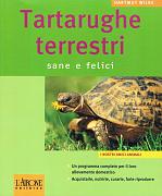 content/attachments/1574-tartarughe-terrestri-sane-e-felici.jpg.html